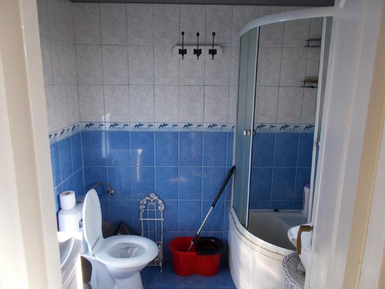 Casa Sacalaz, individuala, P+M, 5 camere, teren 400mp - 3