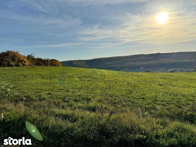 Teren de vanzare in Betfia, 5487 mp intravilan, Bihor, Gaminvest-V4571 - 3