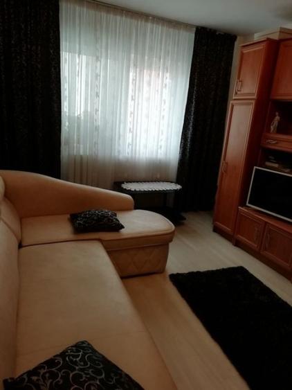 Apartament cu 2 camere situat in zona Buziasului - 1