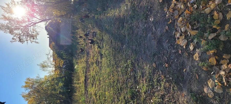 Casa De Vanzare!!! - 5