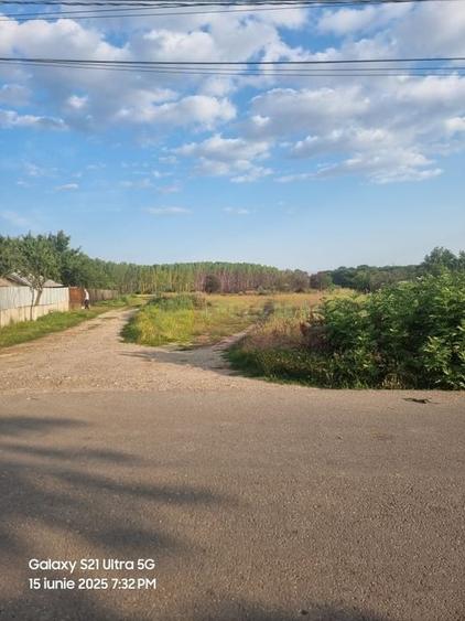 Se vinde teren 2150 mp in Teisori Giurgiu - 4