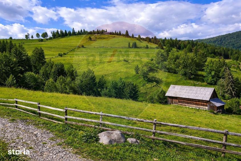 Oaza de liniste in inima Apusenilor teren 6.500 mp Arieseni - 1