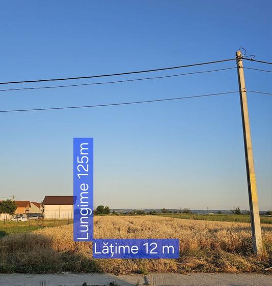 Teren de vanzare Balesti Gorj - 1