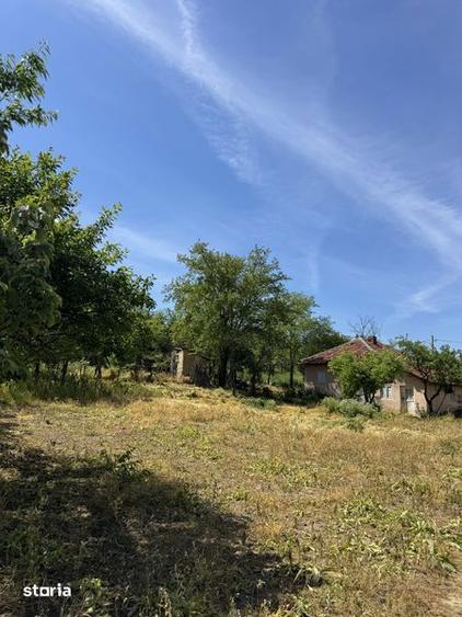 Vand casa Buzau 2000m2 ! - 5