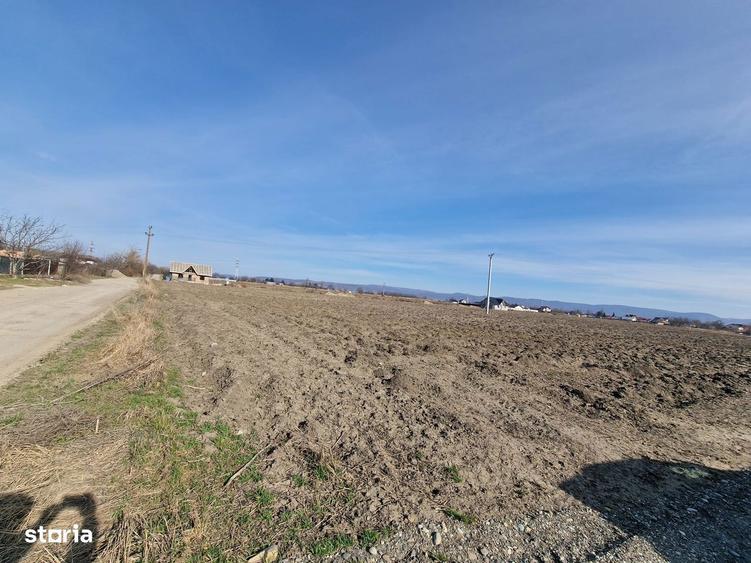 Loturi de teren Serbanesti,zona Calea Barladului - 3