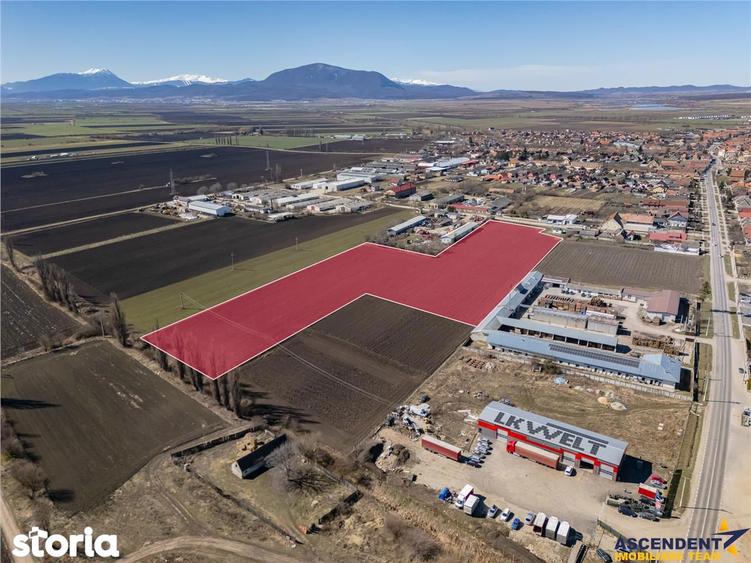 FILM! 10.000mp teren intravilan, Central, Halchiu, Brasov - 7