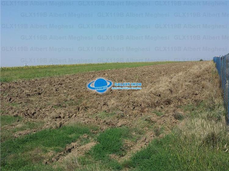 Vanzare Teren Intravilan  Herasti Giurgiu 2 HA - 1