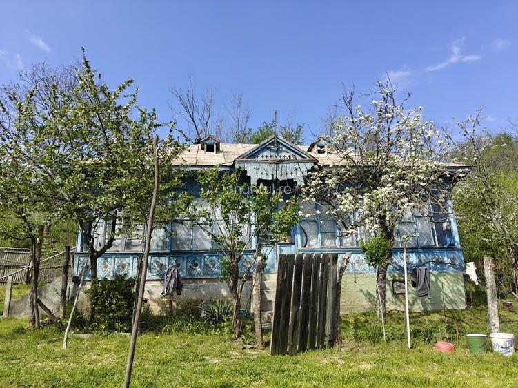 Dolj Casa cu teren generos (10.300 mp) in sat Ungureni