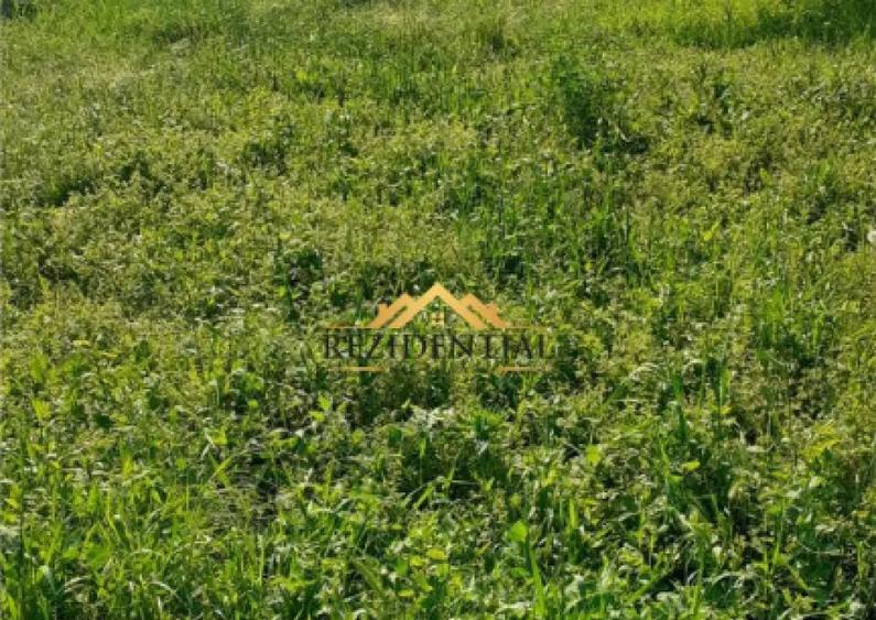 TEREN INTRAVILAN - TULBURENI - 2