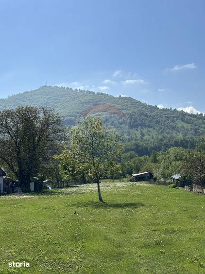 Teren Pangarati / DN Pangarati - 4