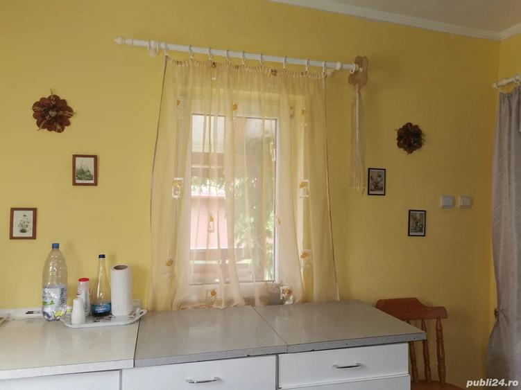 Casa de vanzare, 43 ari teren, Horodnic de jos - Suceava - 4