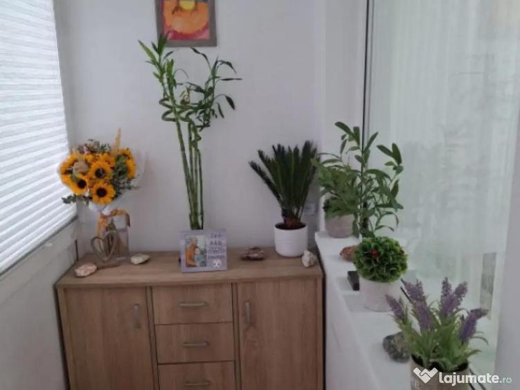 Apartament cu 3 camere, 53 mp, zona Malu Ro?u - 3