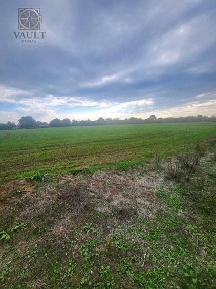 Teren Lucianca - Butimanu - deschidere la DN - 2