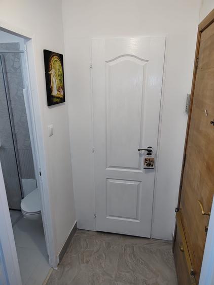 Apartament cu 1 camera aproape de Agronomie - Calea Aradului - 7