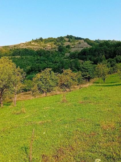 Teren de vinzare - 3