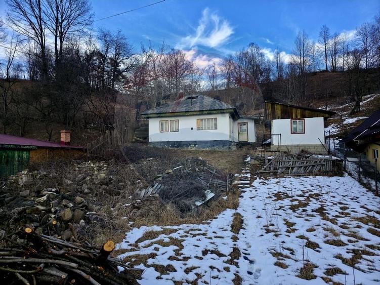 Teren 711mp Hangu / DN GROZAVESTI - 19