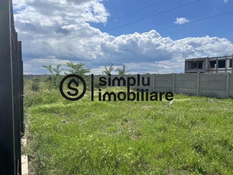 Teren Intravilan Damila - 5