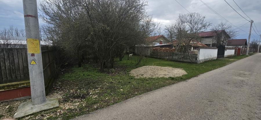 Teren intravilan ideal casa Crevedia Mica - 5