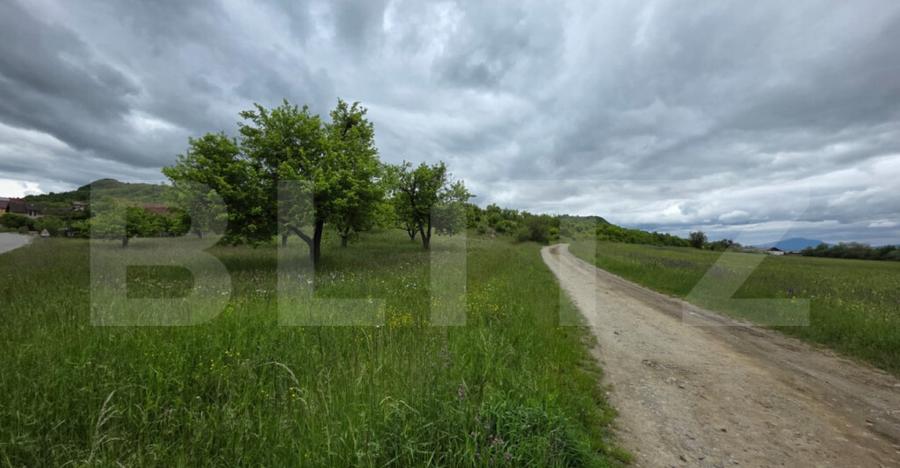 Teren intravilan, 34 ari intravilan, zona Unirea - 5