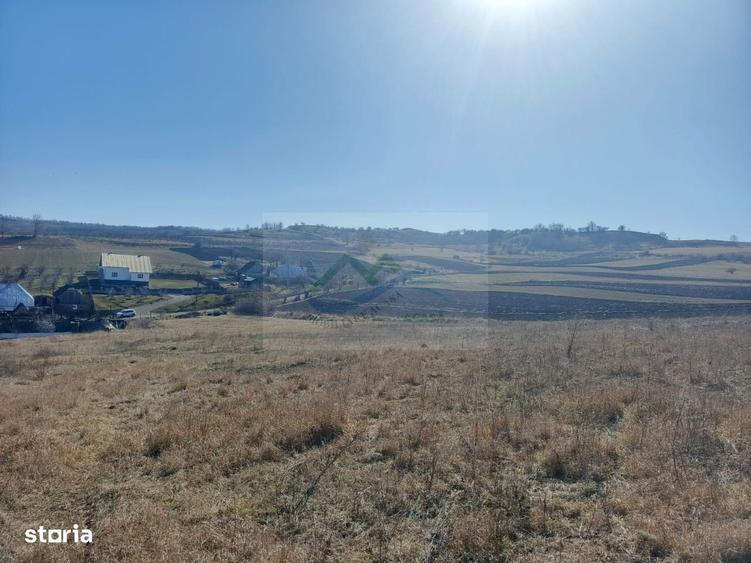 Teren de vanzare Mihae?ti . - 5