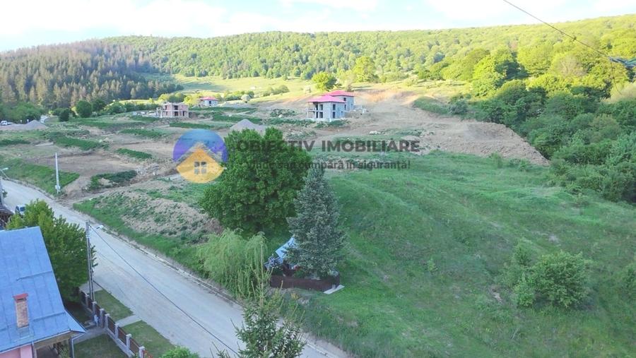 TEREN intravilan PIATRA NEAMT strada DRAGOS VODA (Valea Viei) - 4
