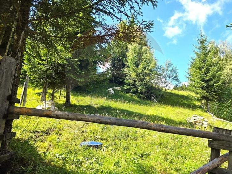 Teren de vis în Fundata 1934mp sau 3868mp, la înălțimea sufletului tău - 15