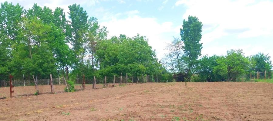 Lipia 10 minute Snagov - 7