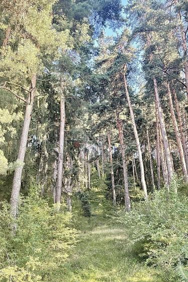 Teren zona Livezii - 7