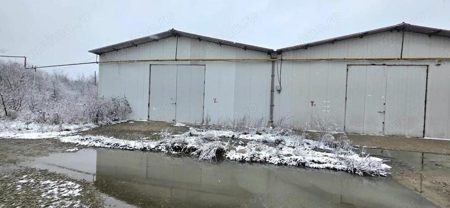 Popesti Centura spatiu depozitare 450 -2000 mp - 3