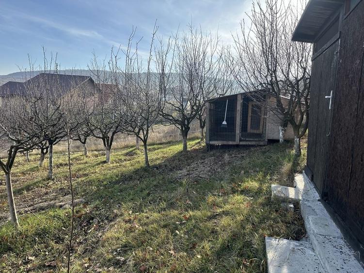 Vand teren intravilan Chinteni - 5