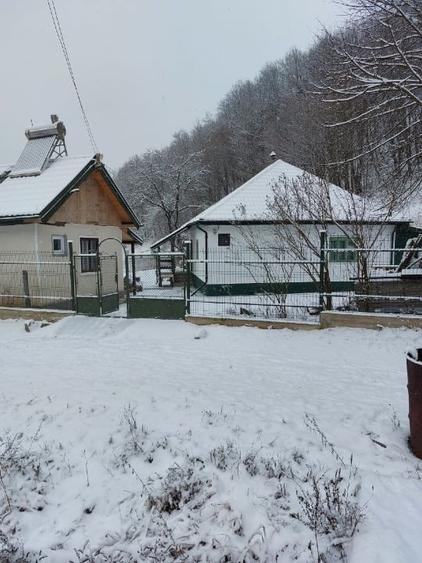 Casa, teren si padure de vanzare-40.000 mp, direct proprietar in Apuseni. - 6