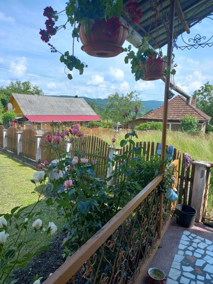 Casa de vanzare in jude?ul Hunedoara, la 7 km de ora?ul Brad - 9