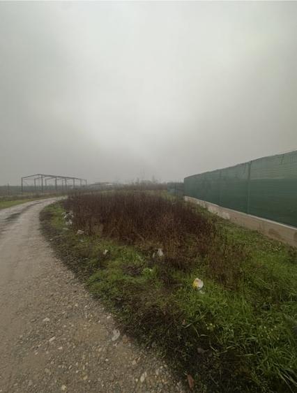 Teren INTRAVILAN de vânzare în CLINCENI-Bragadiru  587 mp - 6