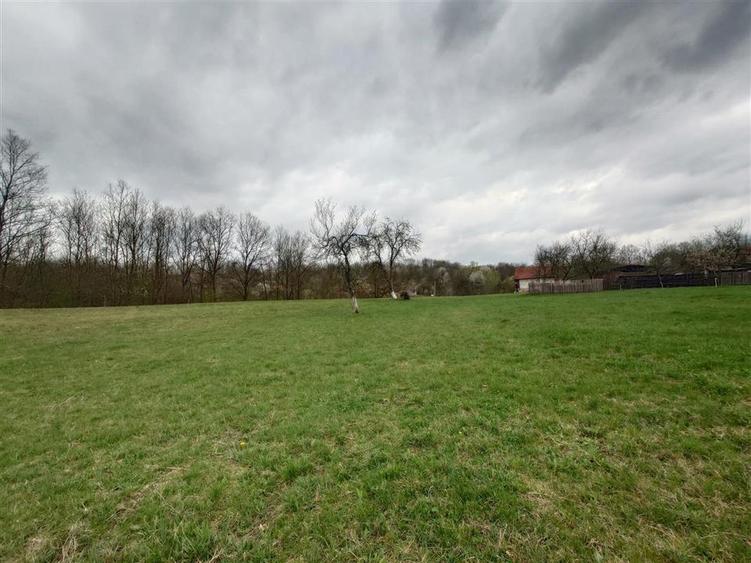 10 000 mp teren intravilan cu priveliste - 5