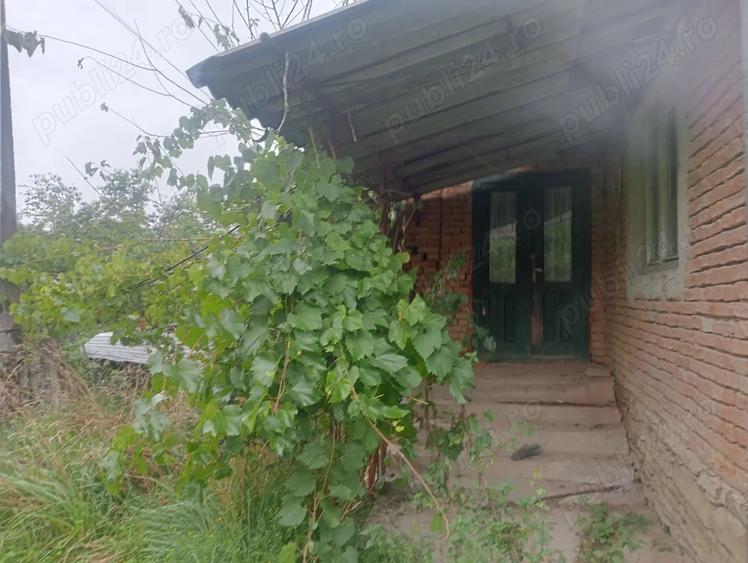 Se vinde proprietate cu gradina in sat ?entea comuna Chiochi? - 6