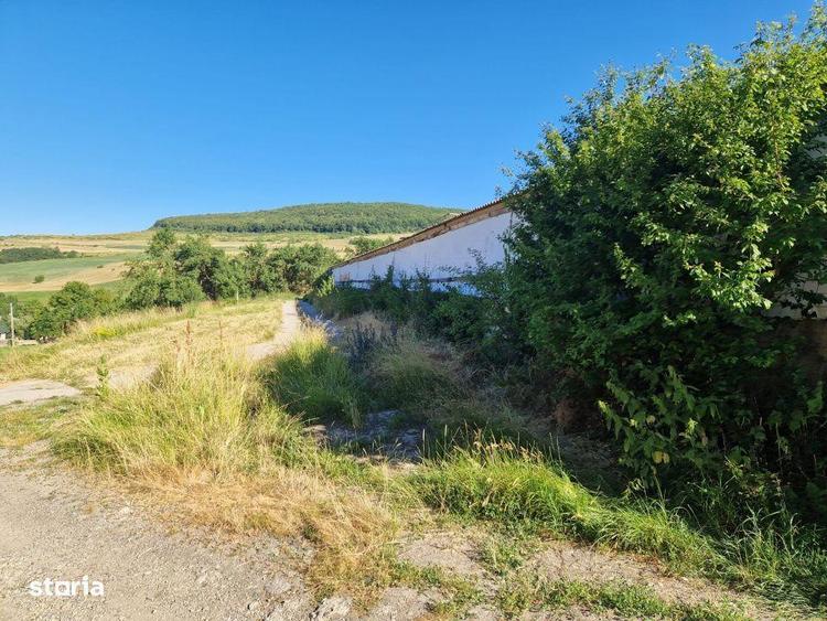 Hala din beton + teren 2.596 mp Jichisu de Jos - 2