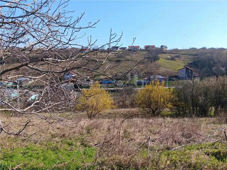 OCAZIE! Vorovesti Teren 83000mp intrav. si extrav. cu utilitati - 1