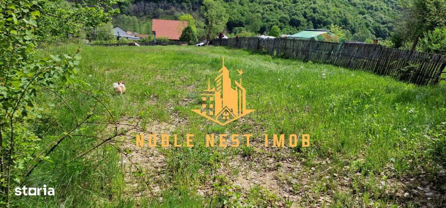 Teren extravilan 2200 mp - Budeasa Mica, Arges - 5