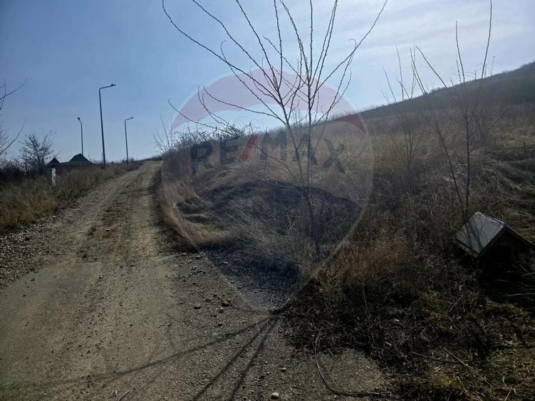 Teren 500mp Zona Fermelor - 3