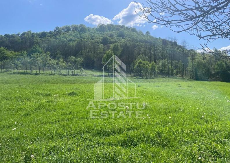 Teren intravilan, partial imprejmuit, eligibil grant- Poj... - 1