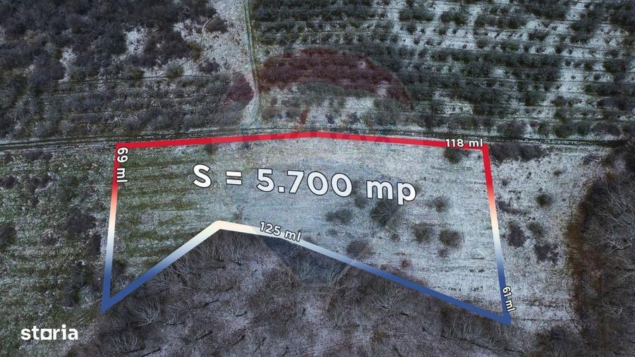 Teren 5,700mp Somcuta Mare / investitie cu potential major - 9