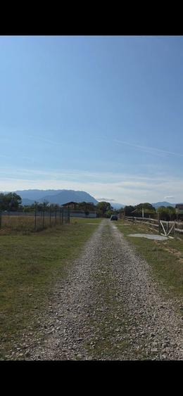 VAND teren 1.000 mp RASNOV, Zona GLAJARIE (RAUL Mare) - 7