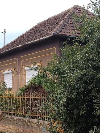 Vand Casa in Domanesti(SM) - 7