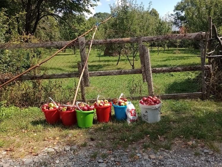 Teren Breaza 800 mp - 1600 mp - 2