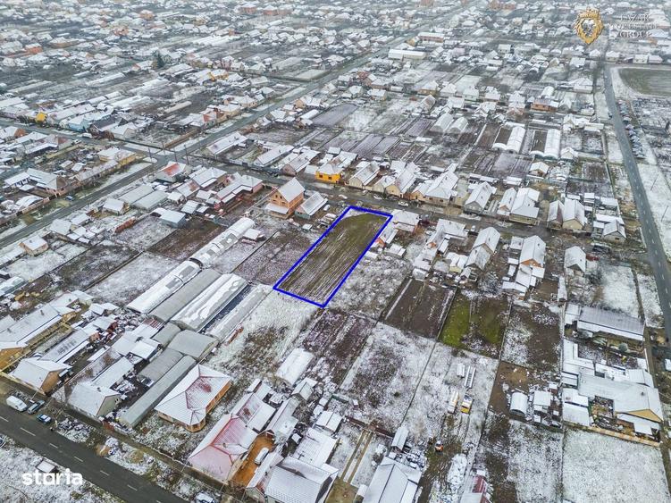 Teren intravilan de vanzare Curtici - 4