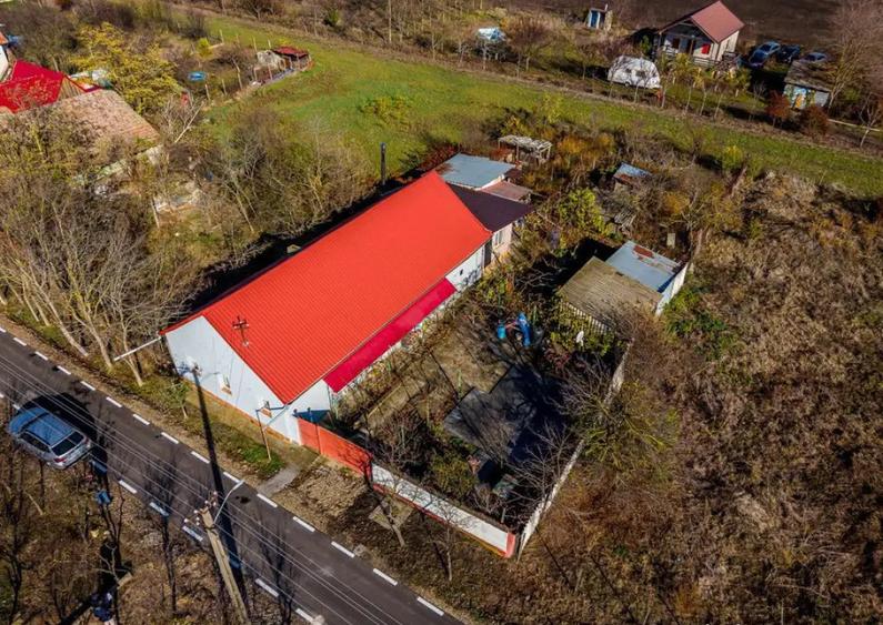 ???? Oportunitate Unica de Vanzare in Variasu Mare! ???? - 5