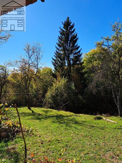 Teren extravilan in localitatea Bulz - 11