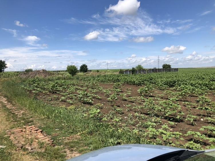 Teren de vanzare la Dudesti Noi - 3