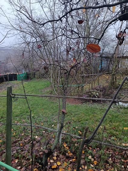 Vand casa Perieni - 1