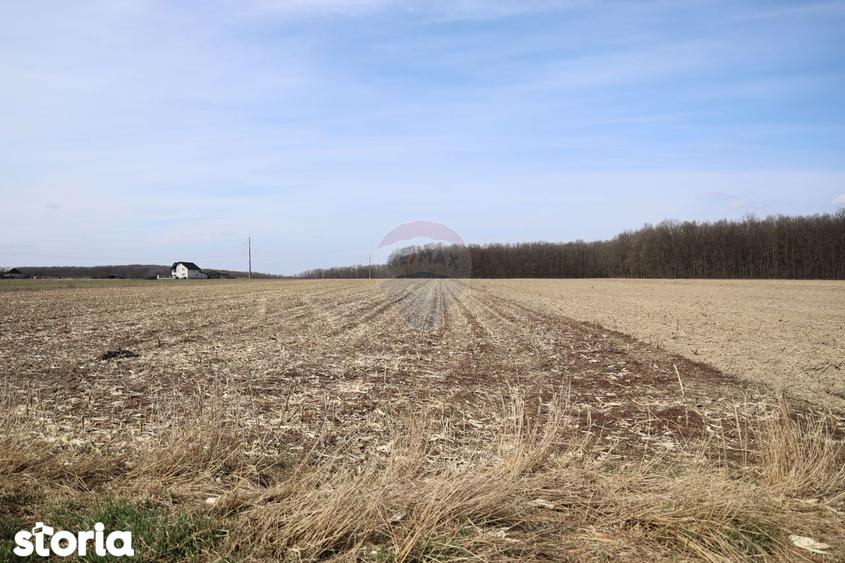 Teren 9,740mp Suceava / Strada Principala - 1